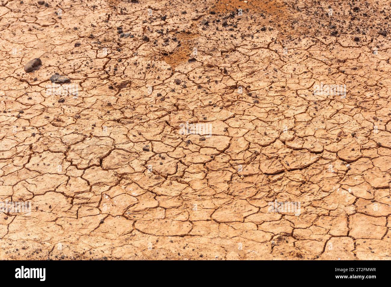Viel Dürre in Las Salinas de Lobos auf der Isla de Lobos, neben der Nordküste der Insel Fuerteventura, Kanarische Inseln. Spanien Stockfoto
