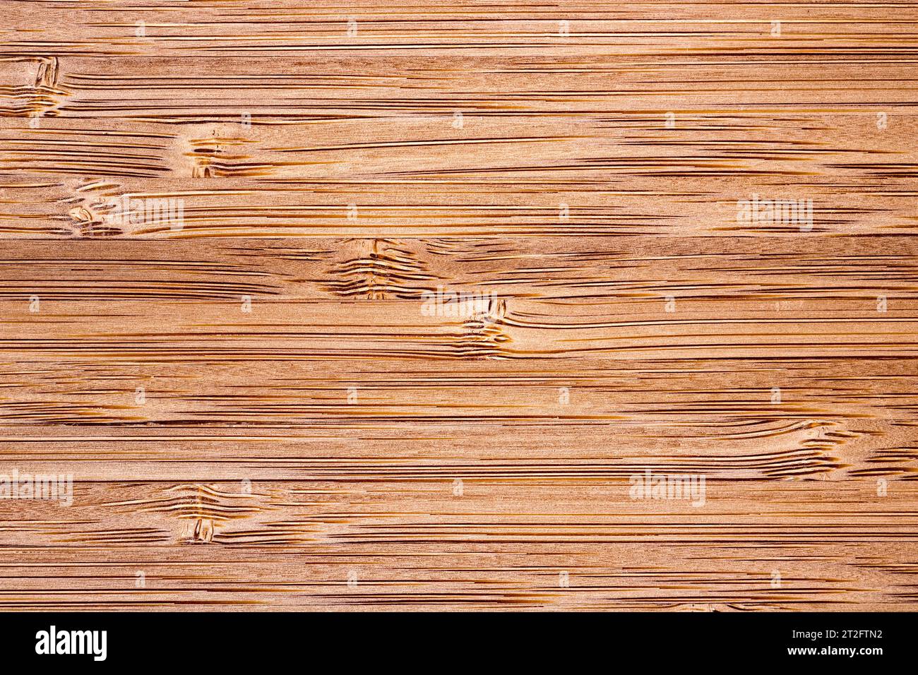 Bambusboden Stockfoto