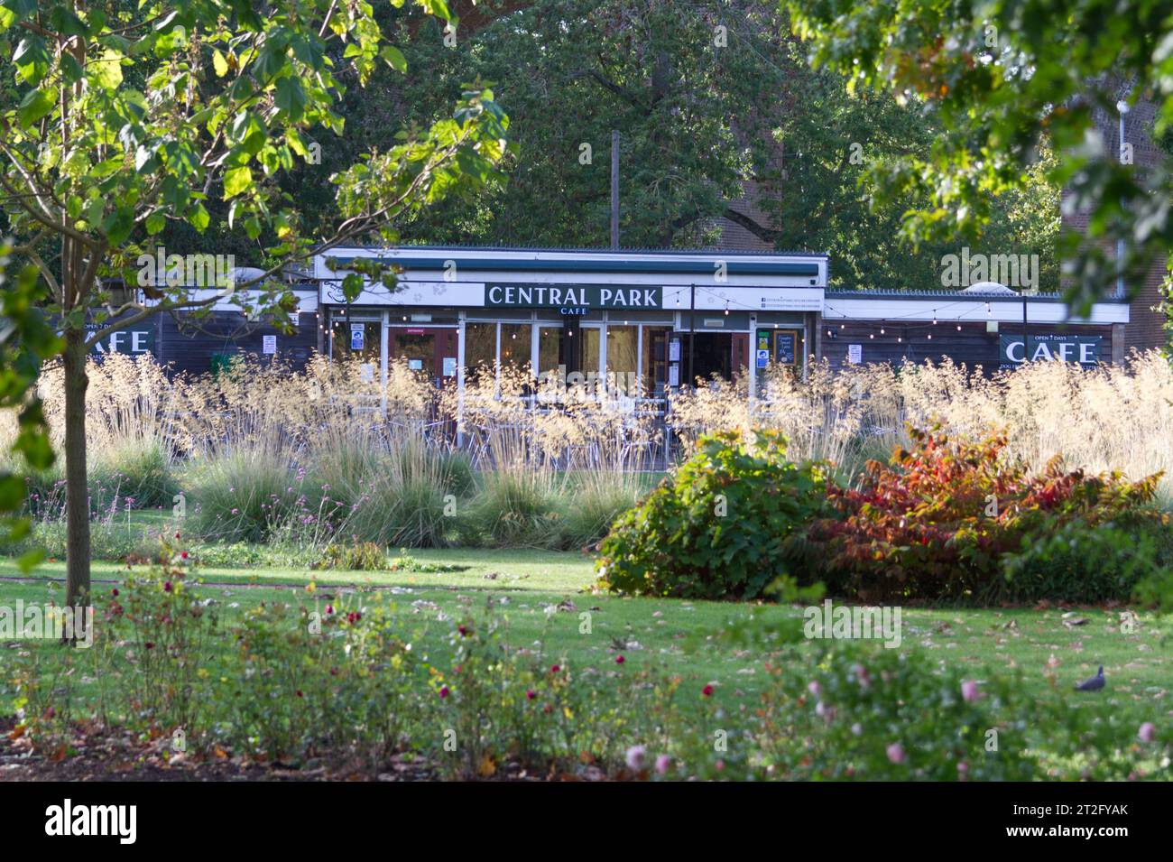 Central Park Café im Central Park, Chelmsford, Essex. Stockfoto