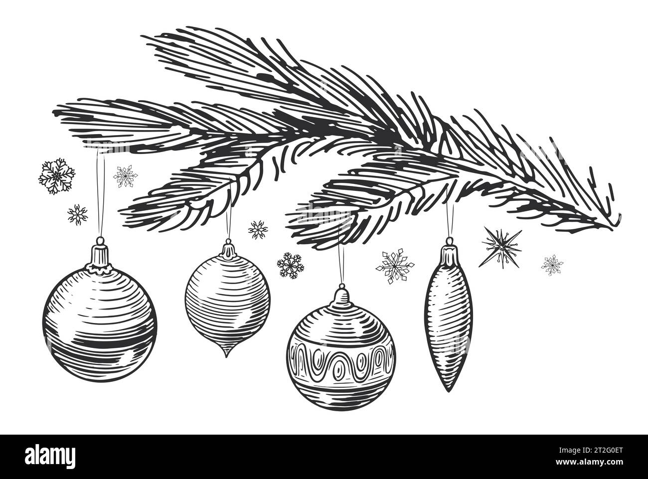 Weihnachtskugeln und -Kugeln hängen an einem Tannenzweig. Weihnachtsdekoration skizziert Vintage-Illustration Stockfoto