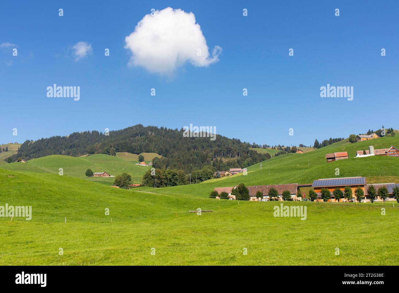 Friedliche Landschaft, Appenzellerland, Schweiz Stockfoto