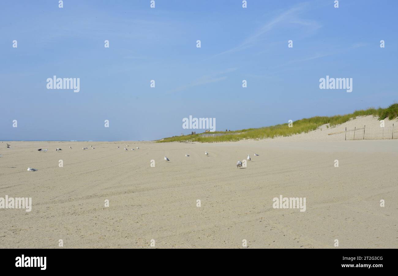 Bild von Coopers Beach, Southampton, NY Stockfoto