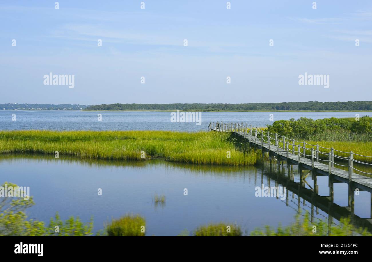 Landscape of the Meadow Lane Boardwalk in Southampton, The Hamptons, Long Island, New York, USA Stockfoto