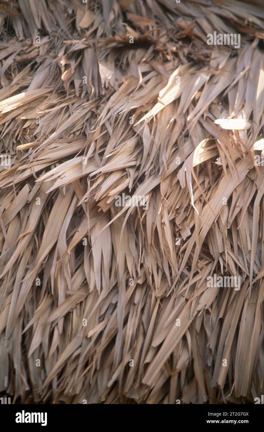 Karibik - Reetdach auf Hut Stockfoto