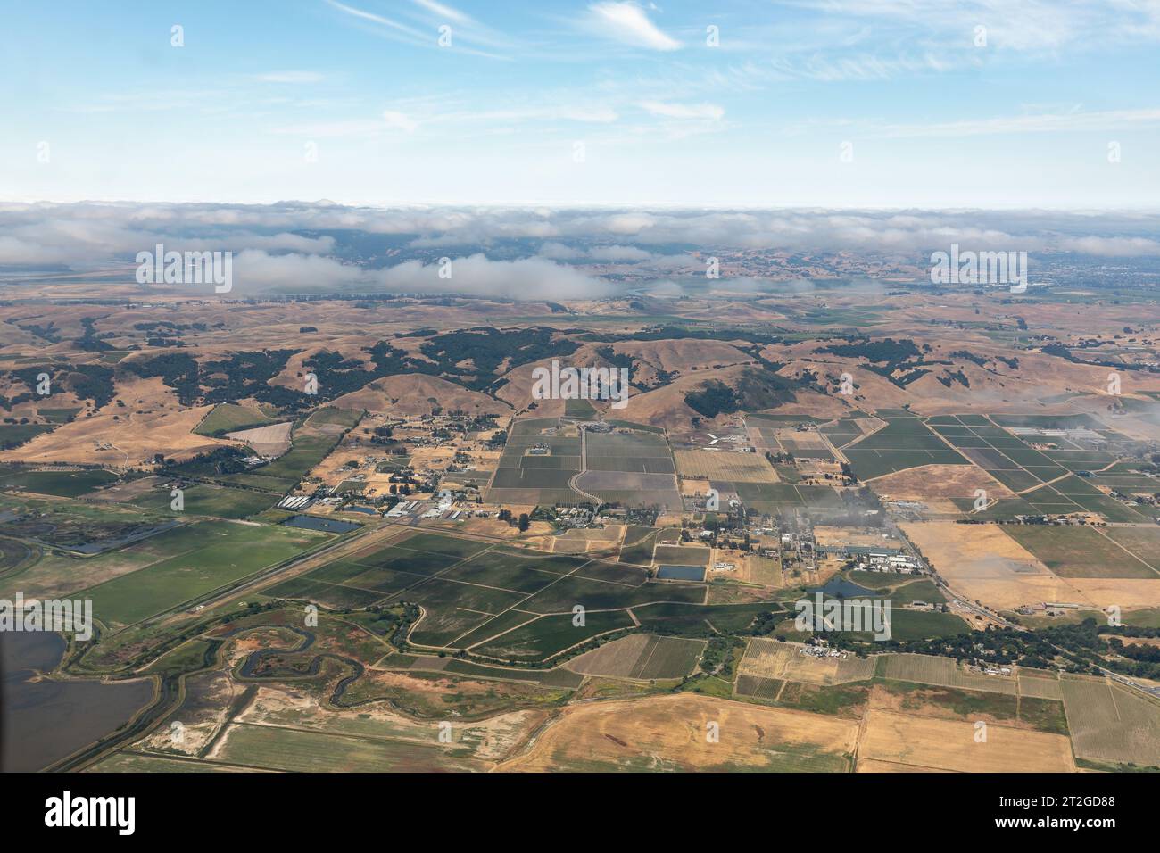 Blick aus der Vogelperspektive auf die Felder und sanften Hügel des Weinanbaugebiets Nordkaliforniens Stockfoto