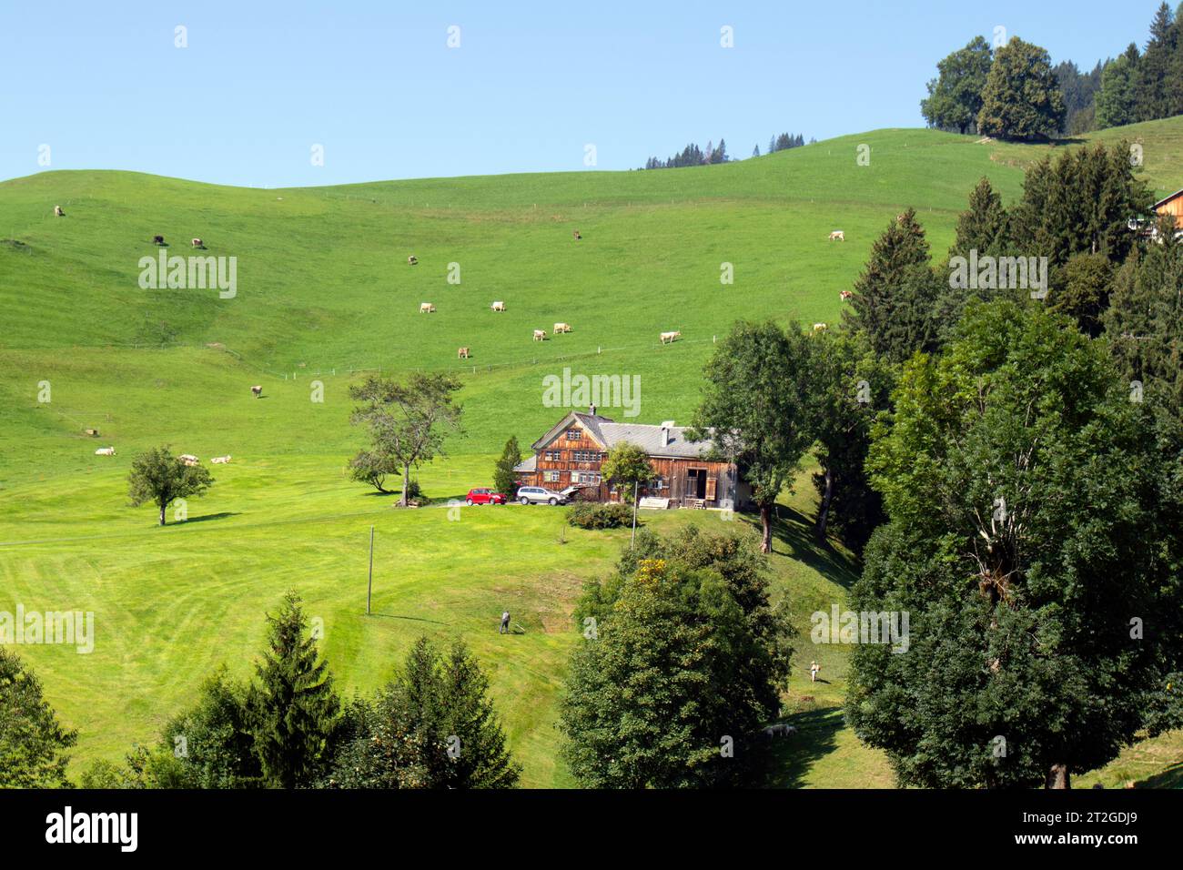 Grüne Landschaft des Appenzellerlandes, Schweiz Stockfoto