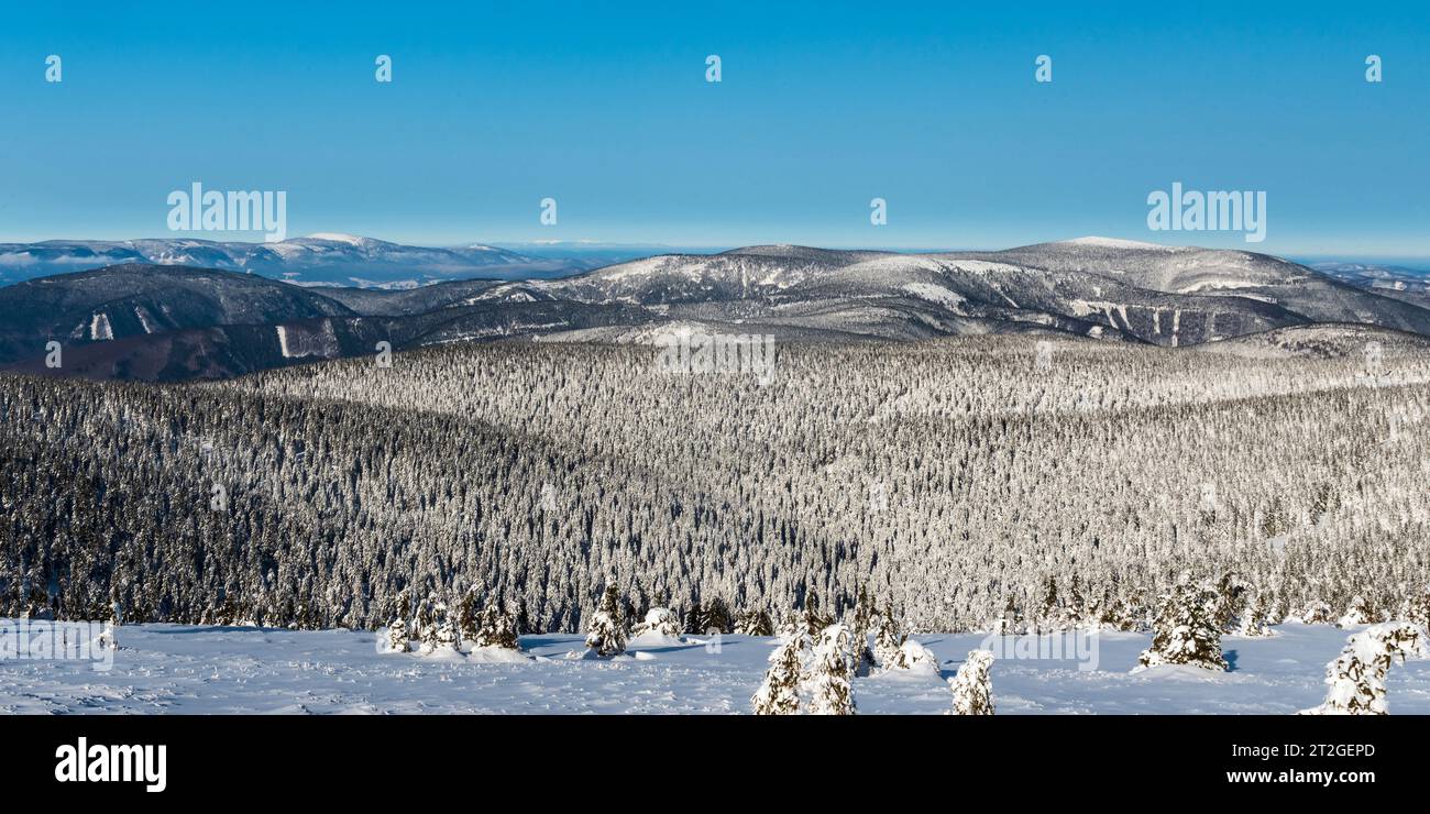 Westlichster Teil der Jeseniky-Berge mit Keprnik-Hügel, Kralicky Sneznik und Krkonose-Berge im Hintergrund vom Praded-Hügel im Winter Stockfoto