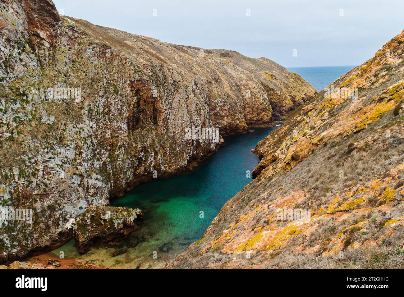 Insel Berlenga Grande, Portugal Stockfoto