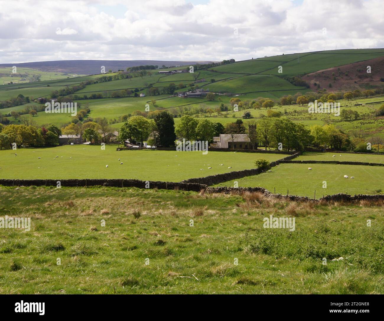 Christ Church Lothersdale, North Yorkshire, England, Vereinigtes Königreich - das Gebäude wurde 1838 fertiggestellt und von Robert (Mouseman) Tho mit Mausschnitzereien an der Eingangstür versehen Stockfoto