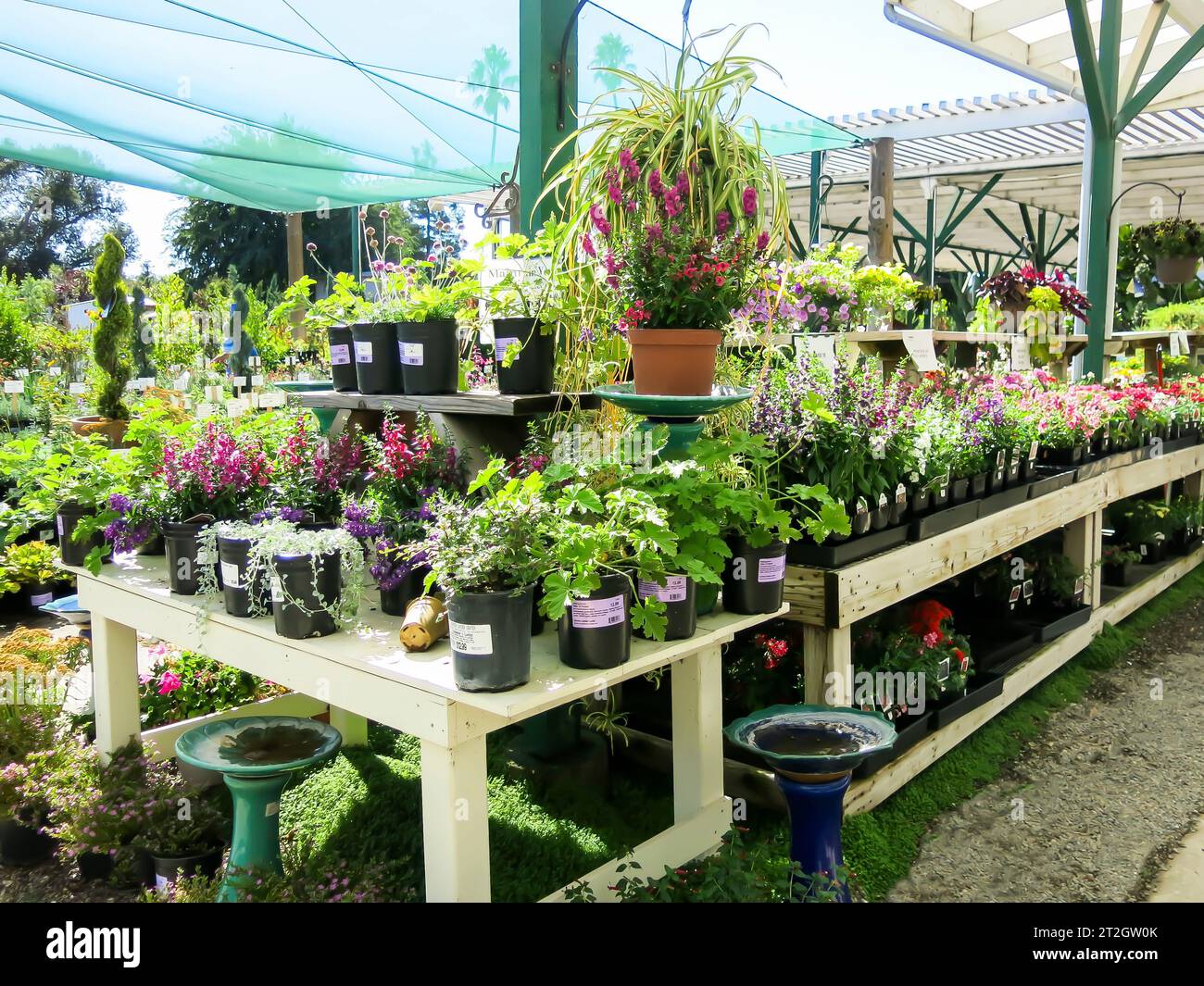 Lokales Gartenzentrum Stockfoto