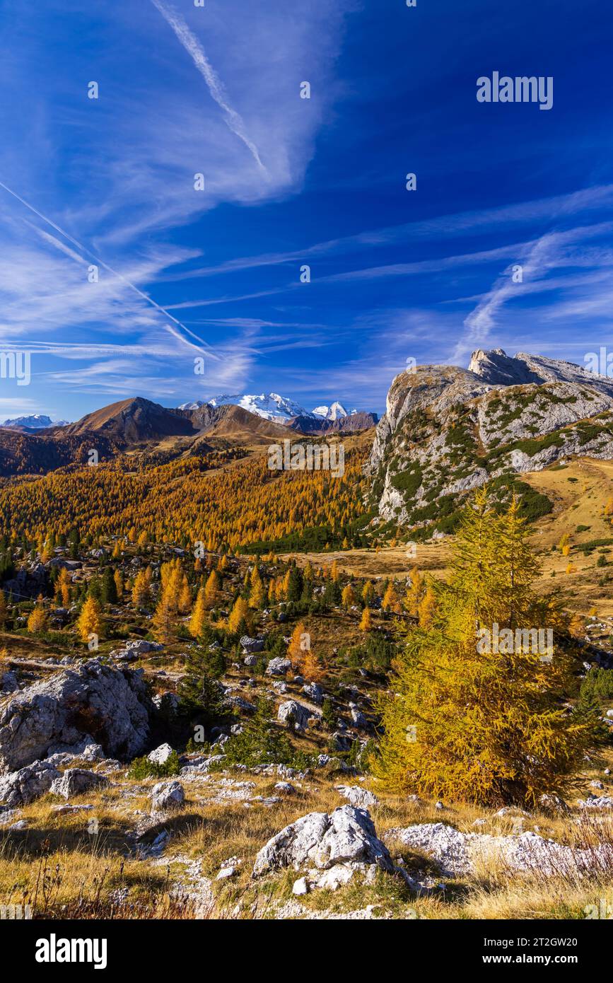 Landschaft in der Nähe von Livinallongo del Col di Lana und Valparola Pass, Dolomitenalpen, Südtirol, Italien Stockfoto