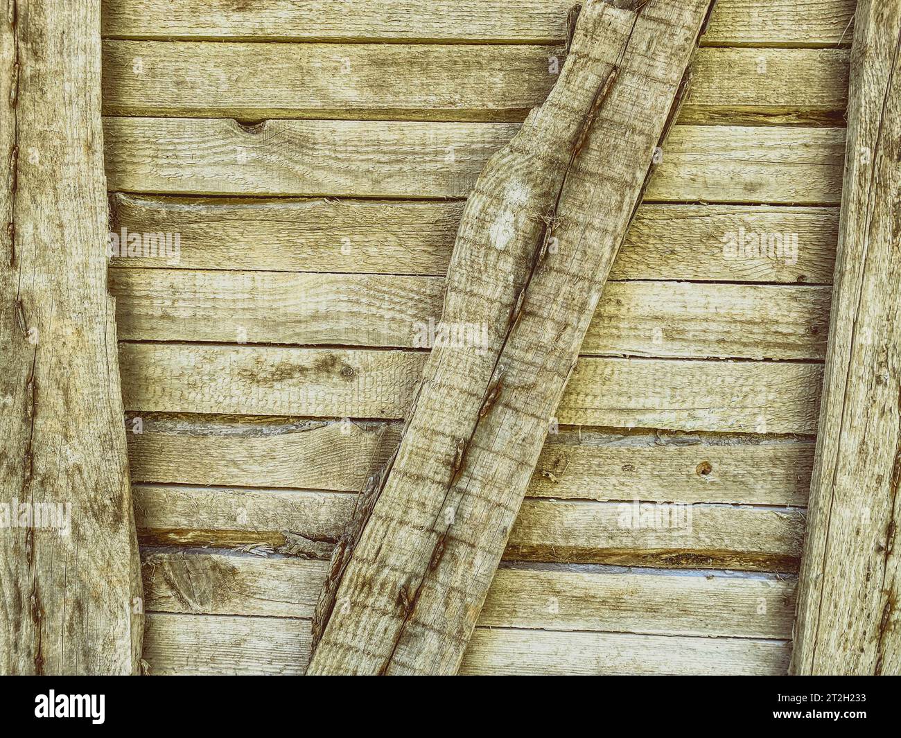 Textur, Hintergrund. Natürliches, verarbeitetes Holz. Die Struktur der Baumstämme, die Bäume sind mit Brettern überdacht, der Eingang ist für Fremde geschlossen. Stockfoto