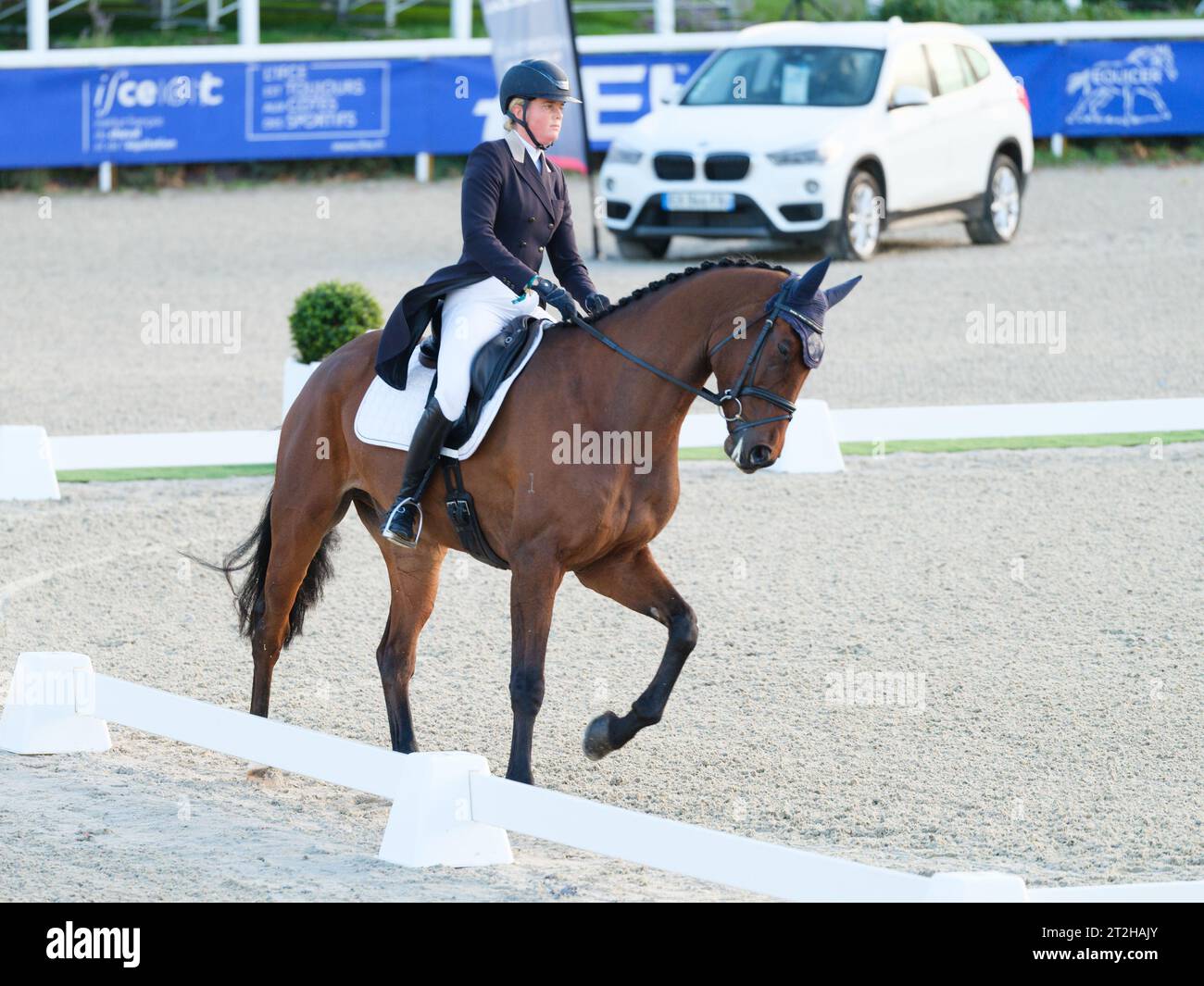 Isabel ENGLISH of Australia mit Elysian Fields Prado während des Dressurtests im Mondial du Lion d’Angers 6yo, CH-M-YH-CCI2*-L am 19. Oktober 2023, Frankreich (Foto: Maxime David/MXIMD Pictures - mximd.com) Stockfoto