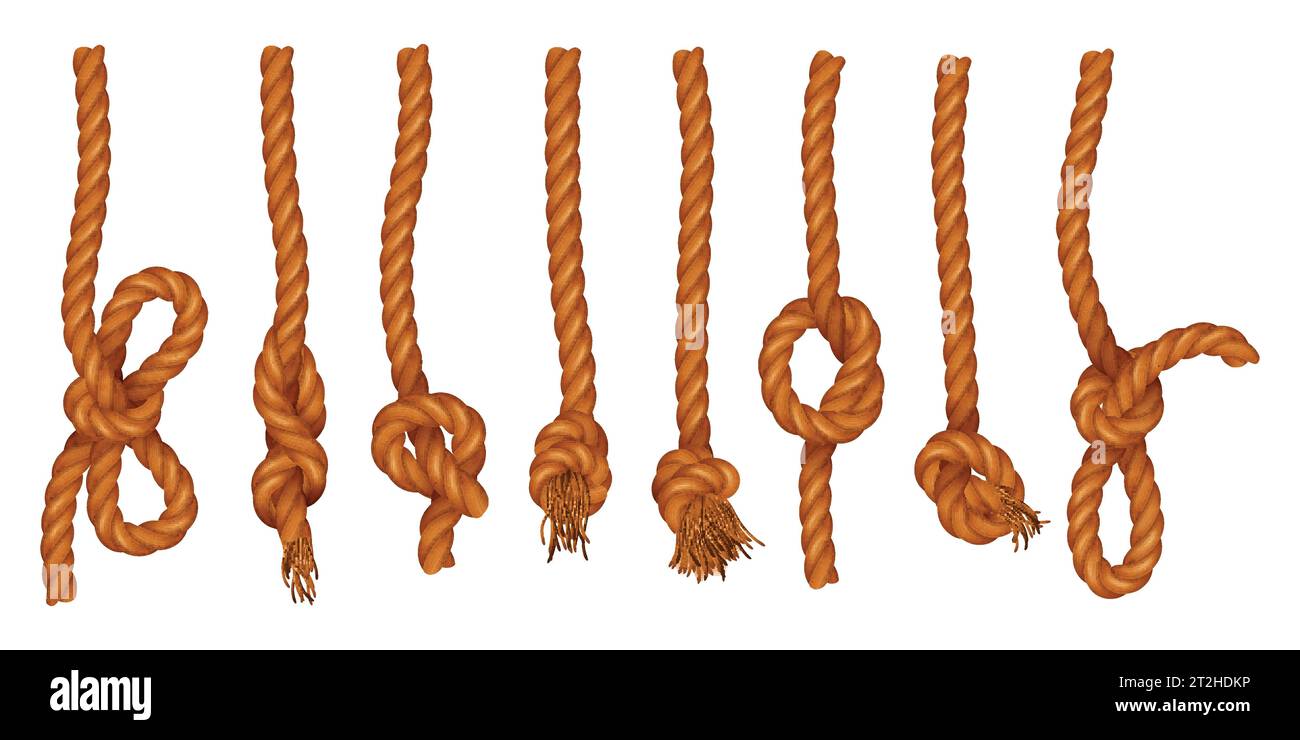 Hängende Seile mit Nelke Kraftheber Knoten realistischer Satz isoliert an weißer Hintergrund Vektor-Illustration Stock Vektor