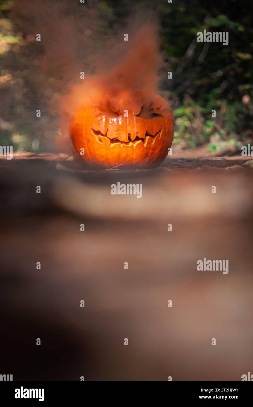 Nahaufnahme eines geschnitzten Kürbis für halloween mit Rauch aus den Ausschnitten in einer natürlichen gruseligen Waldlandschaft Stockfoto