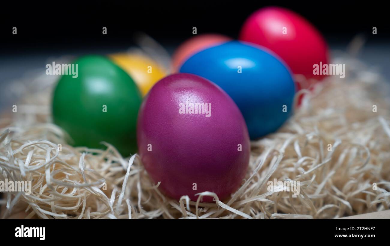 Perfekte bunt bemalte und handgemachte Ostereier in Strohhalm mit schwarzem Hintergrund Stockfoto