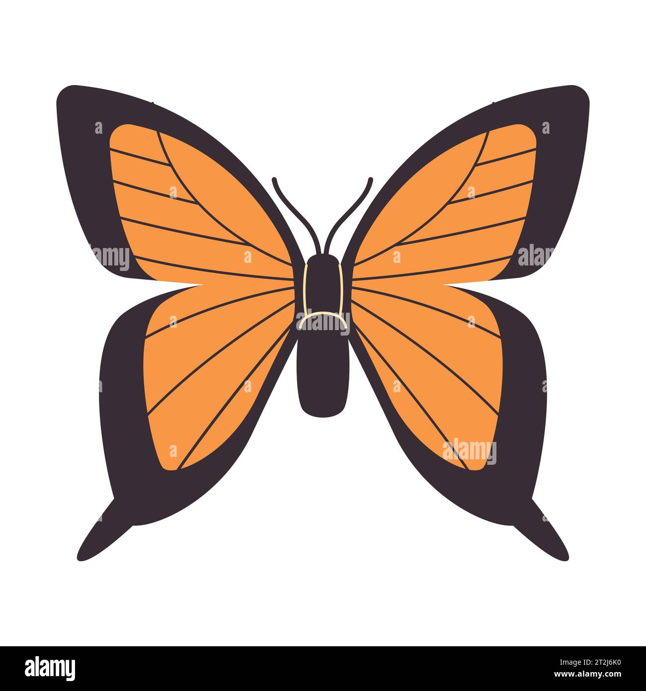 Tiger Schwalbenschwanz Schmetterling Vektor Zeichnung Illustration orange und schwarze Farbe Stock Vektor