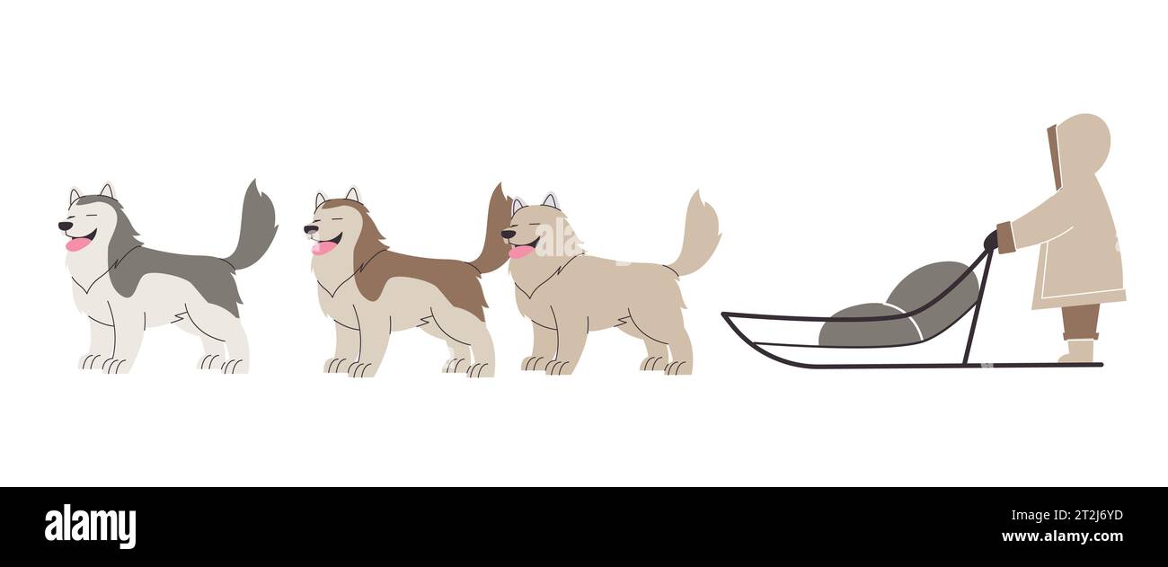 Hundeschlittenfahren Kinder Reiten Zugtiere Malamute sibirischer Husky Wolf Schneesport Stock Vektor