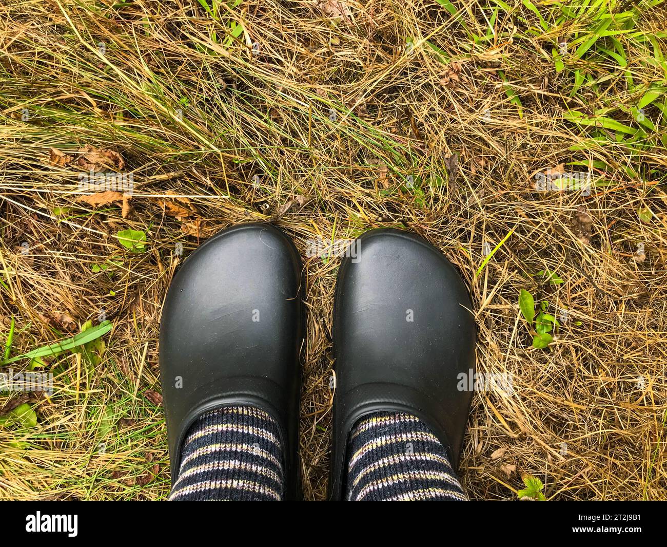 Bequeme und stilvolle Kleidung für den Förster. Schwarze Gummigaloschen werden an den Füßen in warmen Wollsocken getragen. Isolierung gegen kaltes Wetter. Herbst nass Stockfoto