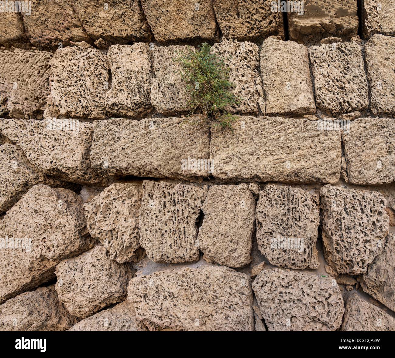 Nahaufnahme der Wand des Aquadukts bei Cäsarea, Israel. Stockfoto