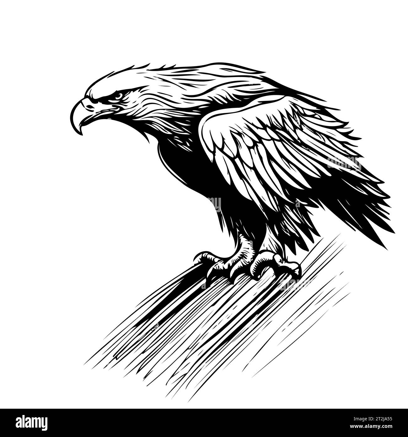 Flying Eagle Maskottchen-Logo im Ätzstil. Skizze Vektor-Illustration eines handgezeichneten Zeichens oder einer Marke Stock Vektor