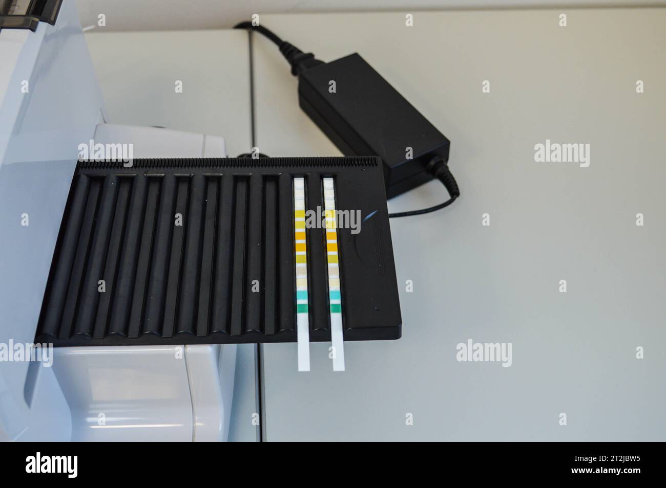 Nahaufnahme der Hände eines Wissenschaftlers im Labor zur Messung des pH-Werts der Probensuspension mit einem elektronischen pH-Messgerät. Stockfoto