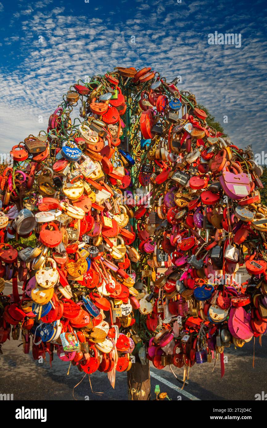 24. September 2015, Moskau, Russland. Baum mit den verschlossenen Hochzeitsschlössern auf der Brücke der Liebe. Stockfoto
