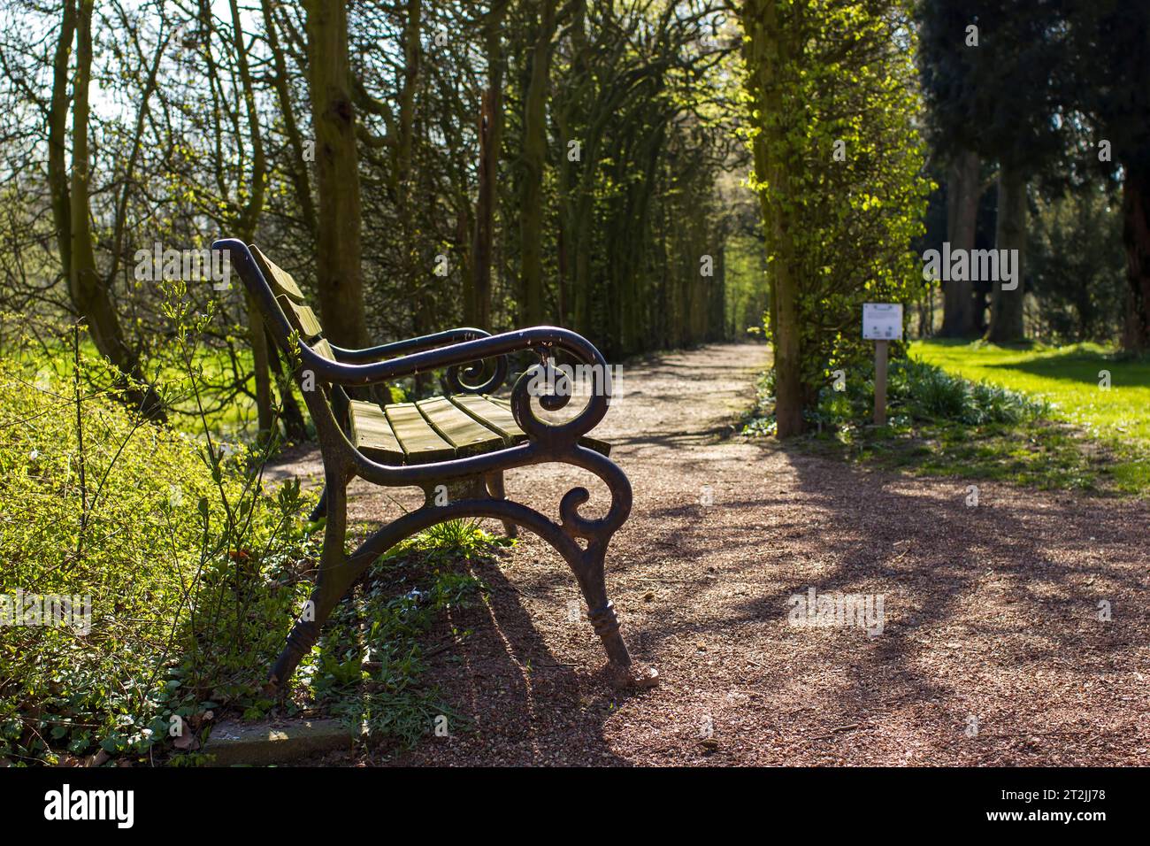 Romantische Bank in ruhigen Park im Frühling Stockfoto