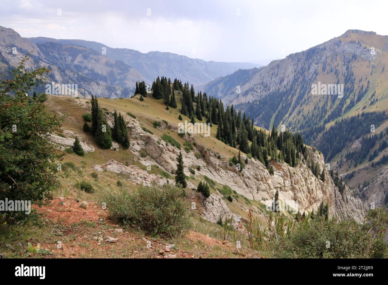 Der Moldo-Ashuu-Pass, Bezirk der Region Songkol im Westen Kirgisistans Stockfoto