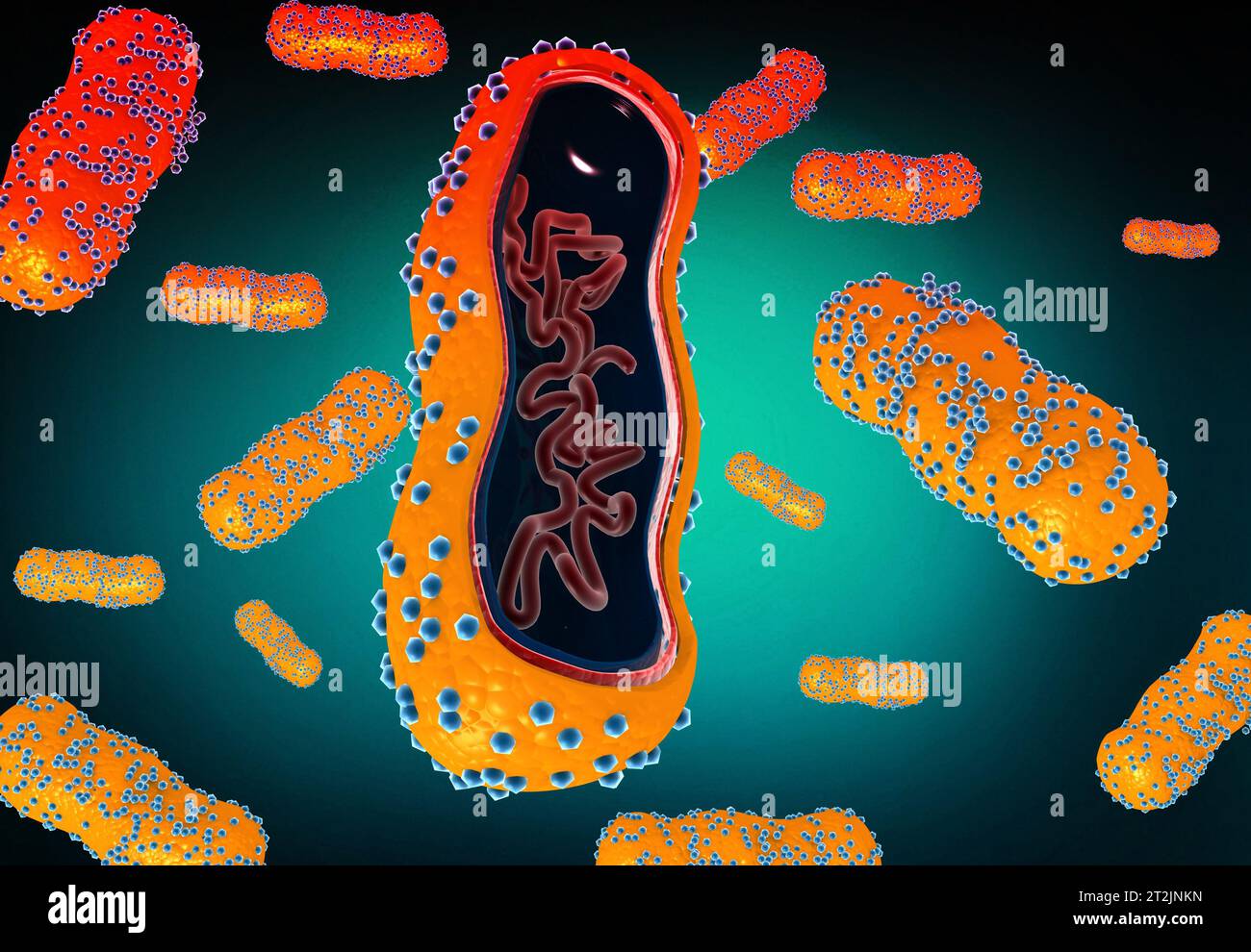 Virus, Bakterienanatomie. Wissenschaftlicher Hintergrund. 3D-Rendering Stockfoto