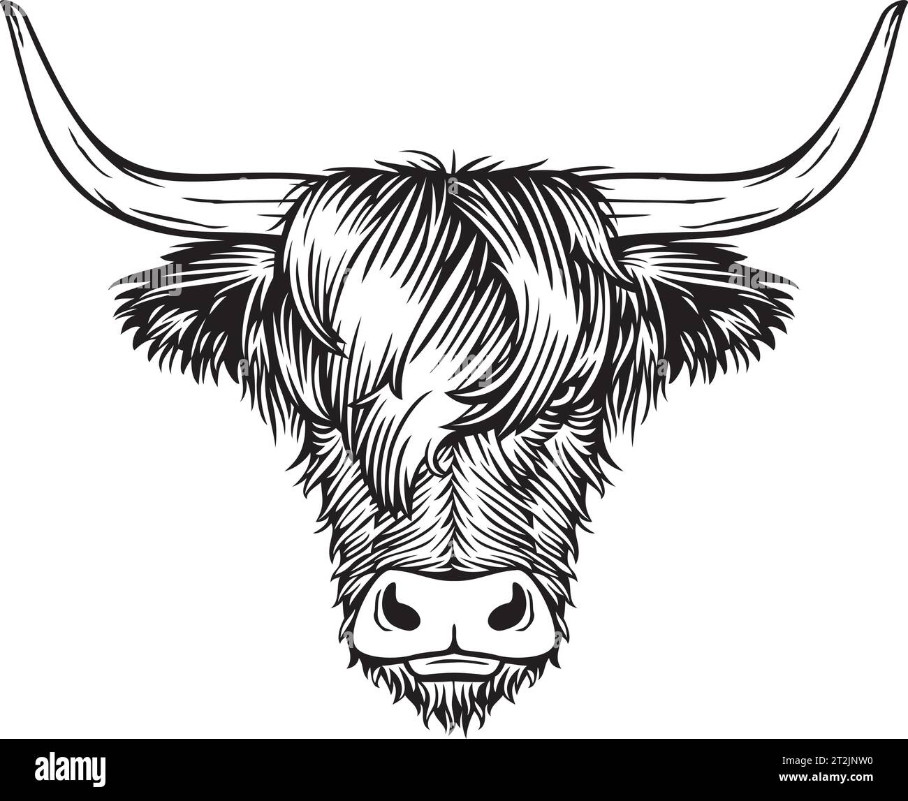 Highland Cow Head Schwarz-weiß. Schottische Rinder. Vektorabbildung. Stock Vektor