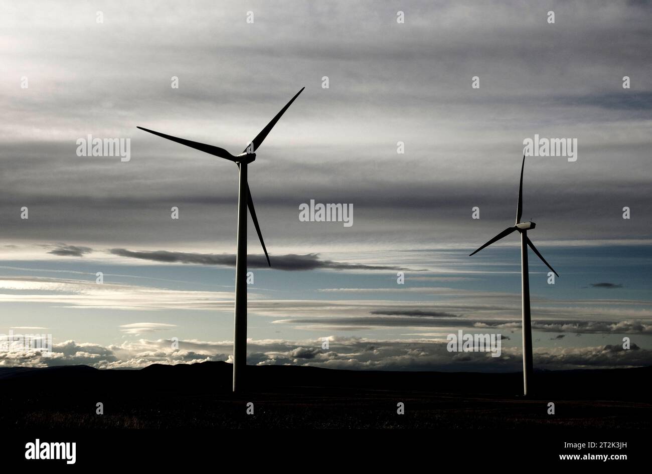 Zwei Windmühlen drehen sich kurz vor der Dämmerung auf einem Feld. Stockfoto