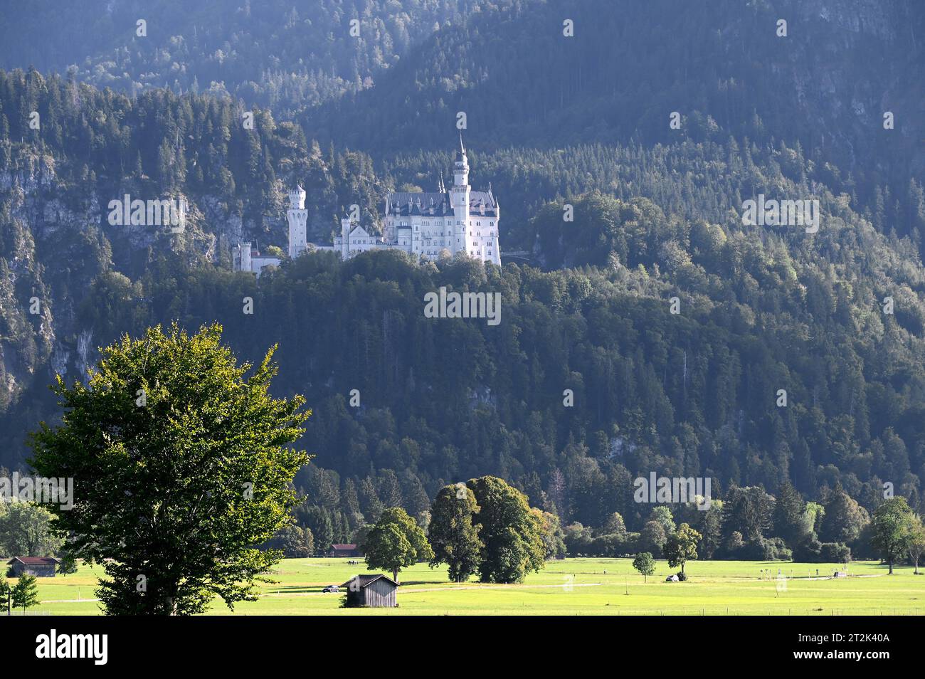 Schloss Neuschwanstein im bayerischen Allgäu bei Füssen Stockfoto