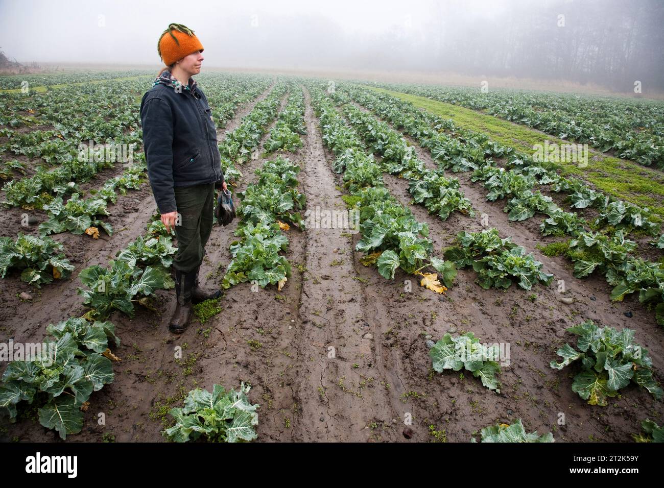 Porträt einer Frau auf einem Feld an einem nebeligen Tag, die Managerin einer Bio-Farm ist. Stockfoto