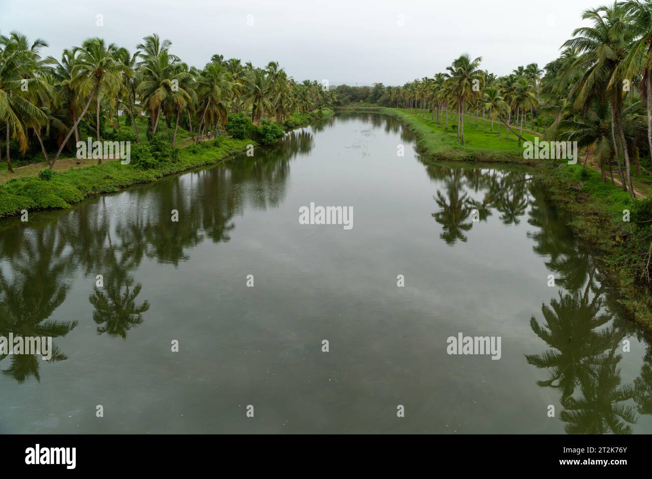 Blick aus einem hohen Winkel auf einen wunderschönen Fluss mit Kokospalmen an den Ufern an einem bewölkten Monsuntag. Stockfoto