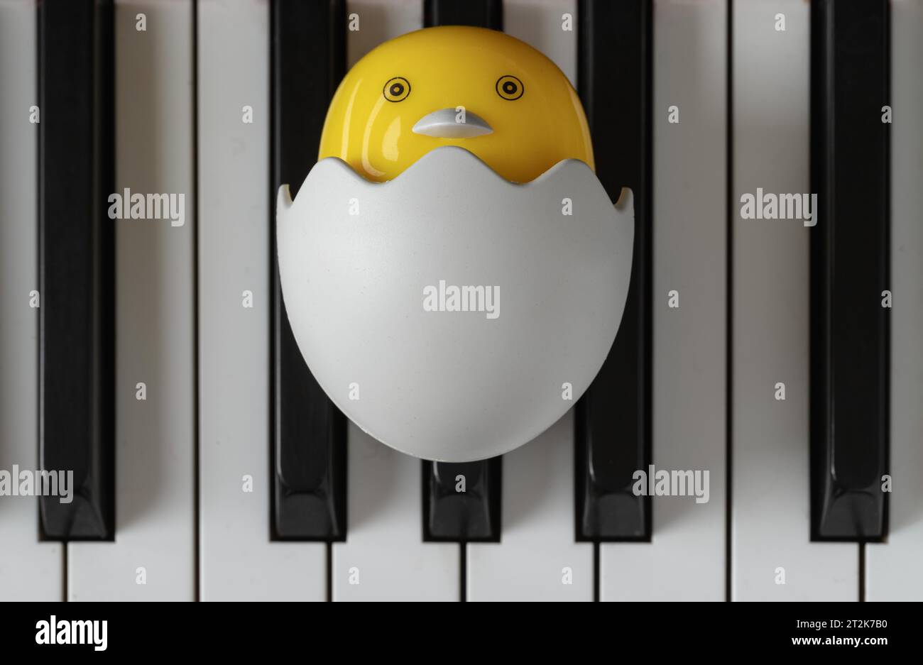 Baby-Chick-Zeichentrick sitzt in gebrochenem Ei auf der Klaviertastatur. Gelbes süßes Huhn schlüpft aus Ei, Platz für Text, selektiver Fokus. Stockfoto