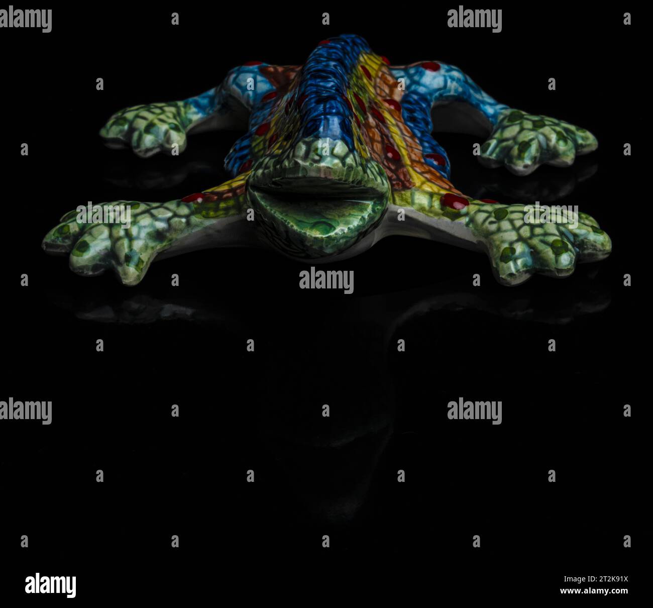SALAMANDER GUELLSH Stockfoto