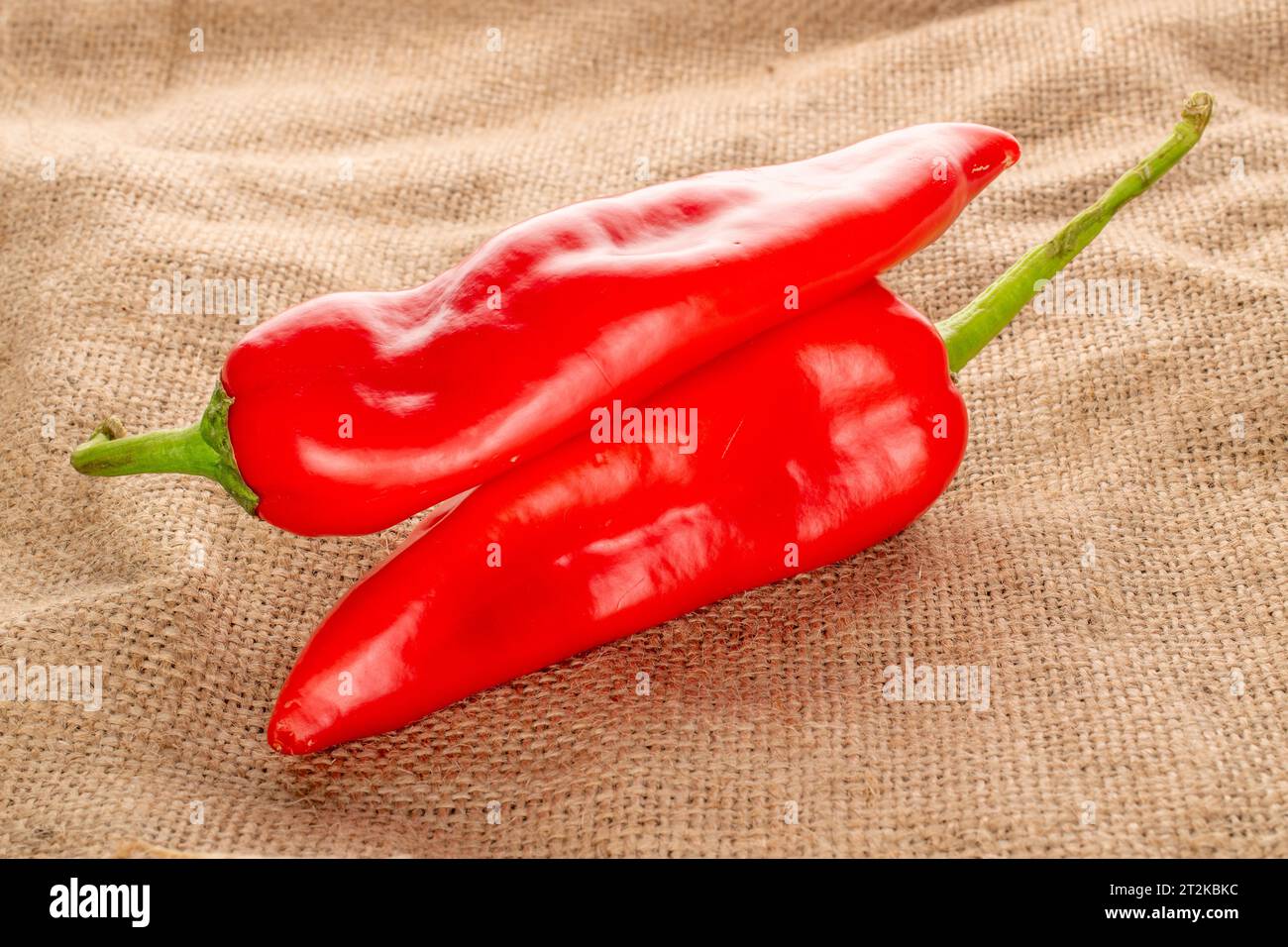 Zwei rote süße Paprika mit Jutetuch Stockfoto