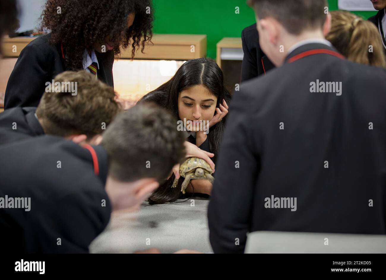 Biologiestunde an einer britischen Sekundarschule. Stockfoto