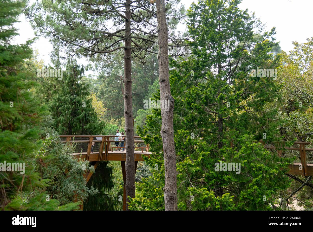 Museu, Casa und Parque de Serralves, Massarelos, Porto, Portugal Stockfoto