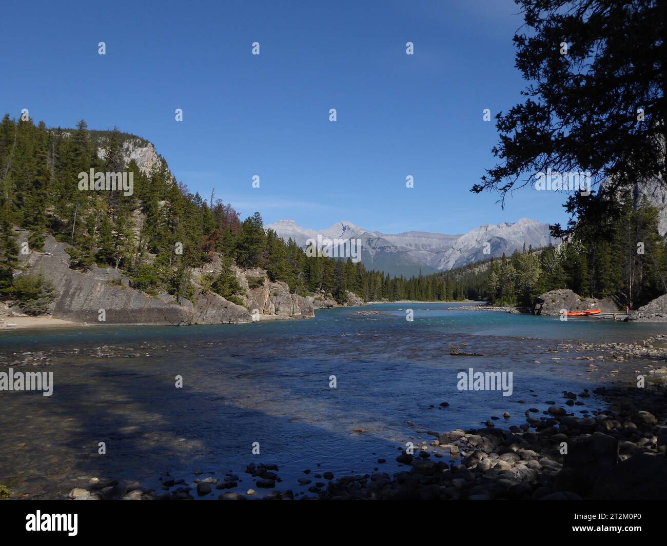 Bow River, Banff, Kanada Stockfoto