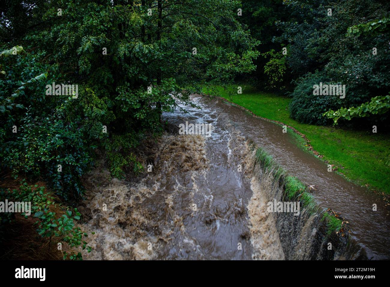 Storm Babet trifft Sheffield und der Porter Brook bricht seine Ufer im Endcliffe Park. Stockfoto