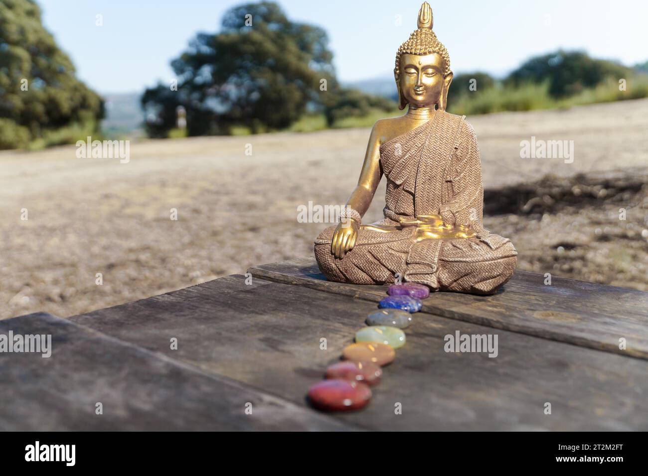 buddha-Statue auf dem Feld auf einem sonnendurchfluteten Holztisch mit Chakra-Steinen in einer Reihe Stockfoto