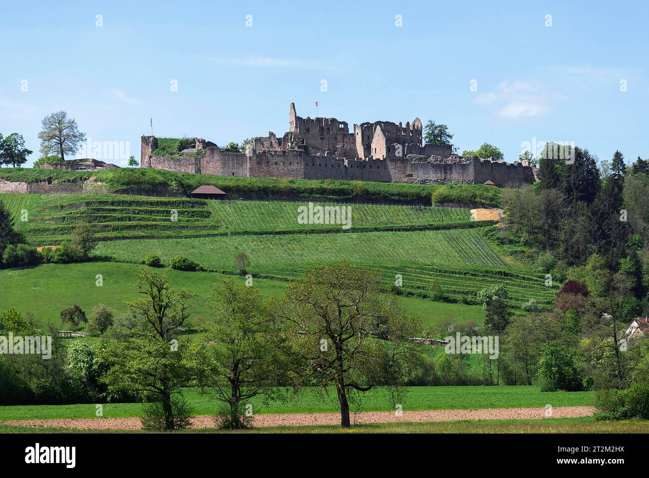 Ruine Hochburg, 11. Jahrhundert, größte Burganlage im Oberrheintal, Emmendingen, Baden-Württemberg, Deutschland Stockfoto