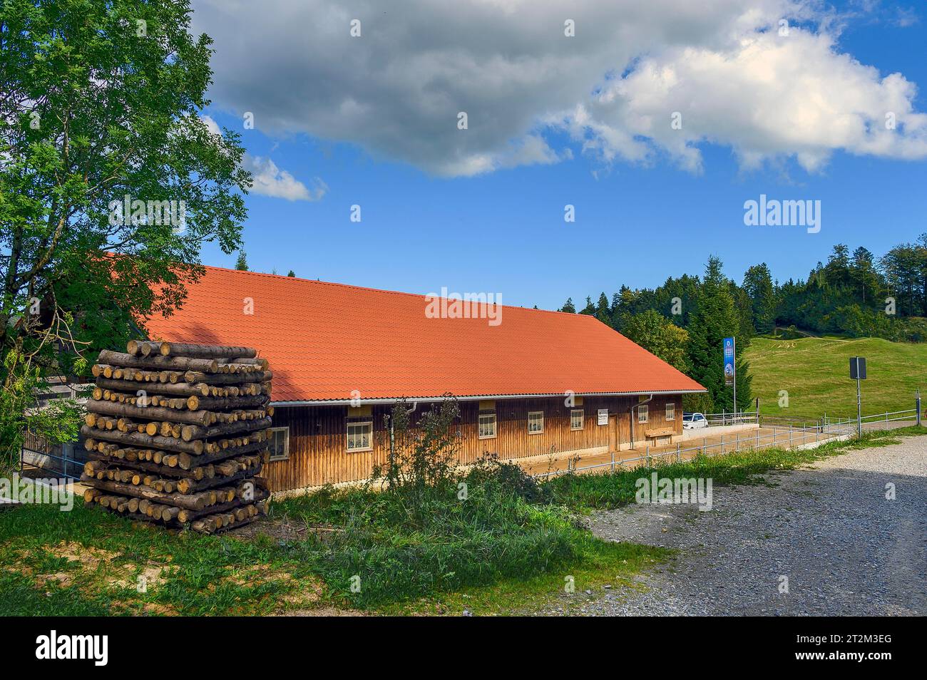 Holzlager in der Nähe von Wengen im Allgäu, Bayern, Deutschland, Europa Stockfoto