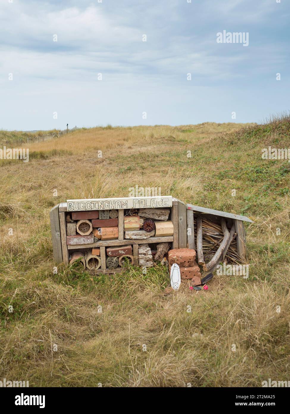 Ein Insektenhotel im Northam Burrows Country Park Site of Special Scientific Interest in der North Devon Coast National Landscape, England. Stockfoto