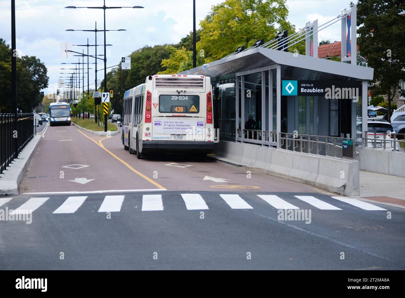Pie-IX BRT ist eine Bushaltestelle in Beaubien, mit Bus in dedizierter Fahrspur, Teil des Montreal Transit Systems Stockfoto