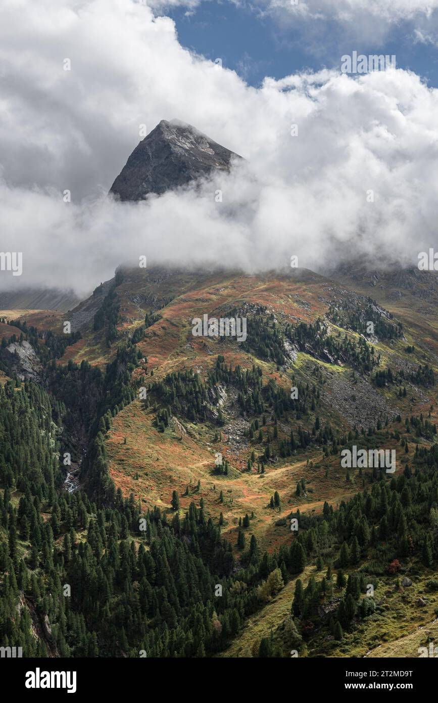 Wolken umgeben die Berghänge des Hangerer über den Kiefernwäldern im Gurglertal im Herbst, Ötztaler Alpen, Tirol, Österreich Stockfoto