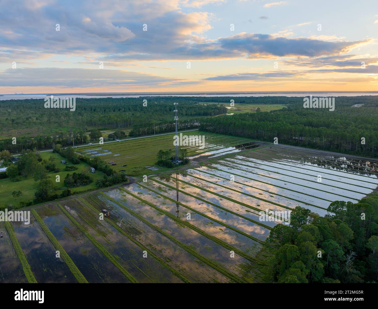 Eine Luftaufnahme eines Zellenturms und einer Farm in Nordflorida in der Abenddämmerung Stockfoto