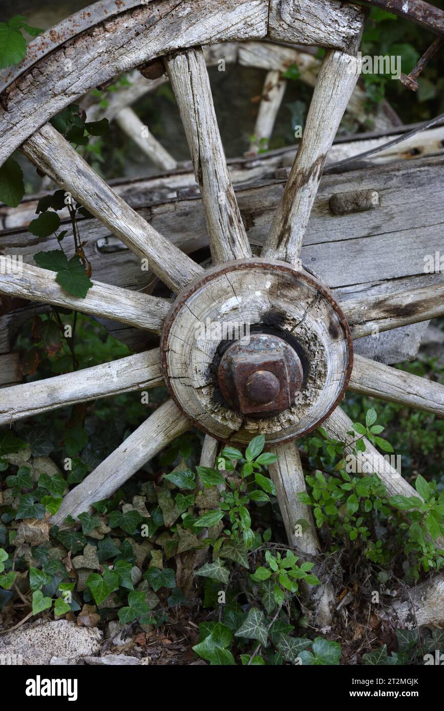 Verrottendes altes hölzernes Kartonrad oder Wagenrad mit Holzspeichen Stockfoto